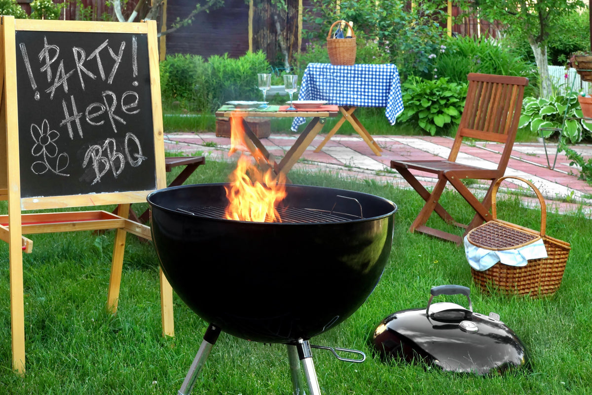 Backyard Activities