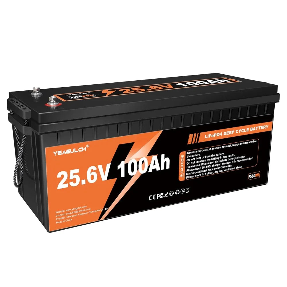 24V 100Ah LiFePO4 Battery, Built-in 100A BMS, 2560Wh, 10000+ Deep Cycles Rechargeable, Custom