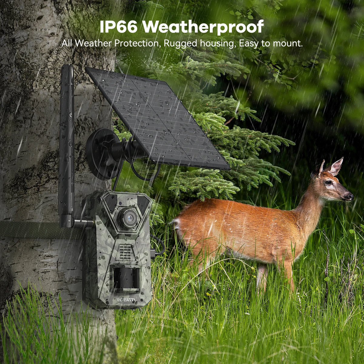 4G LTE Wildlife Camera with App, 2.7K Solar Hunting Trail Camera with SIM Card, Photo Trap Cam, PIR Motion Sensor, Night Vision  NO SD CARD